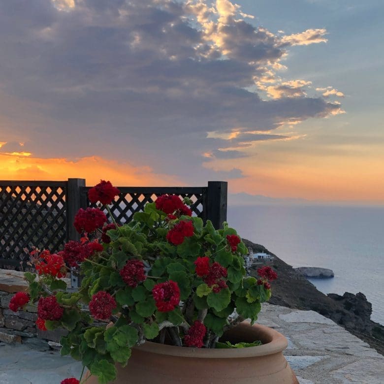 Terrace flowers with Aegean sea view in Kea (Tzia)